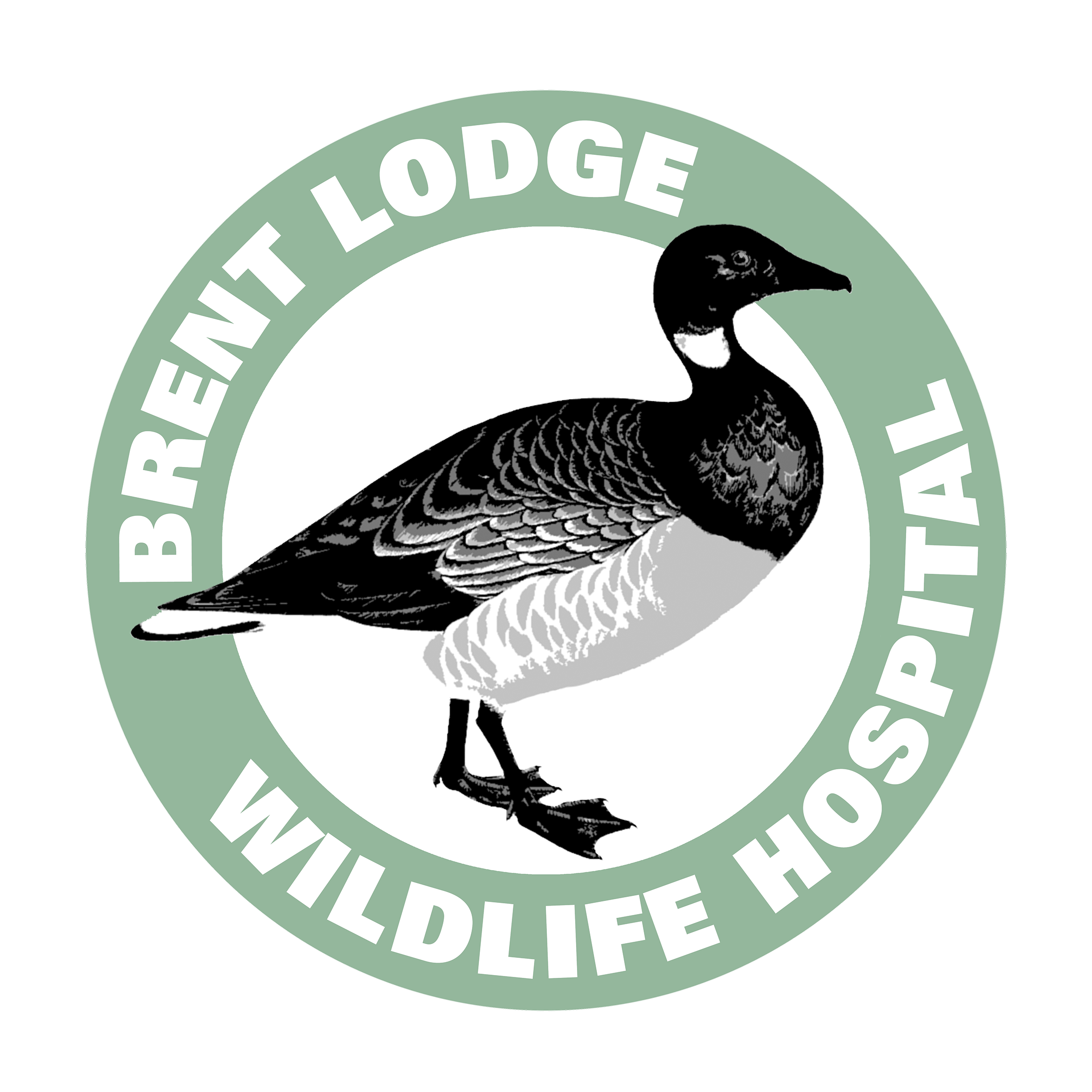 Brent Lodge Wildlife Hospital Mengham
