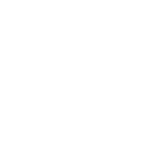 Care & Support Services